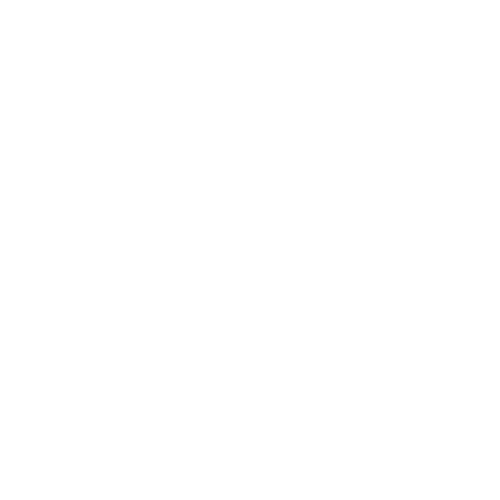 PORT AI